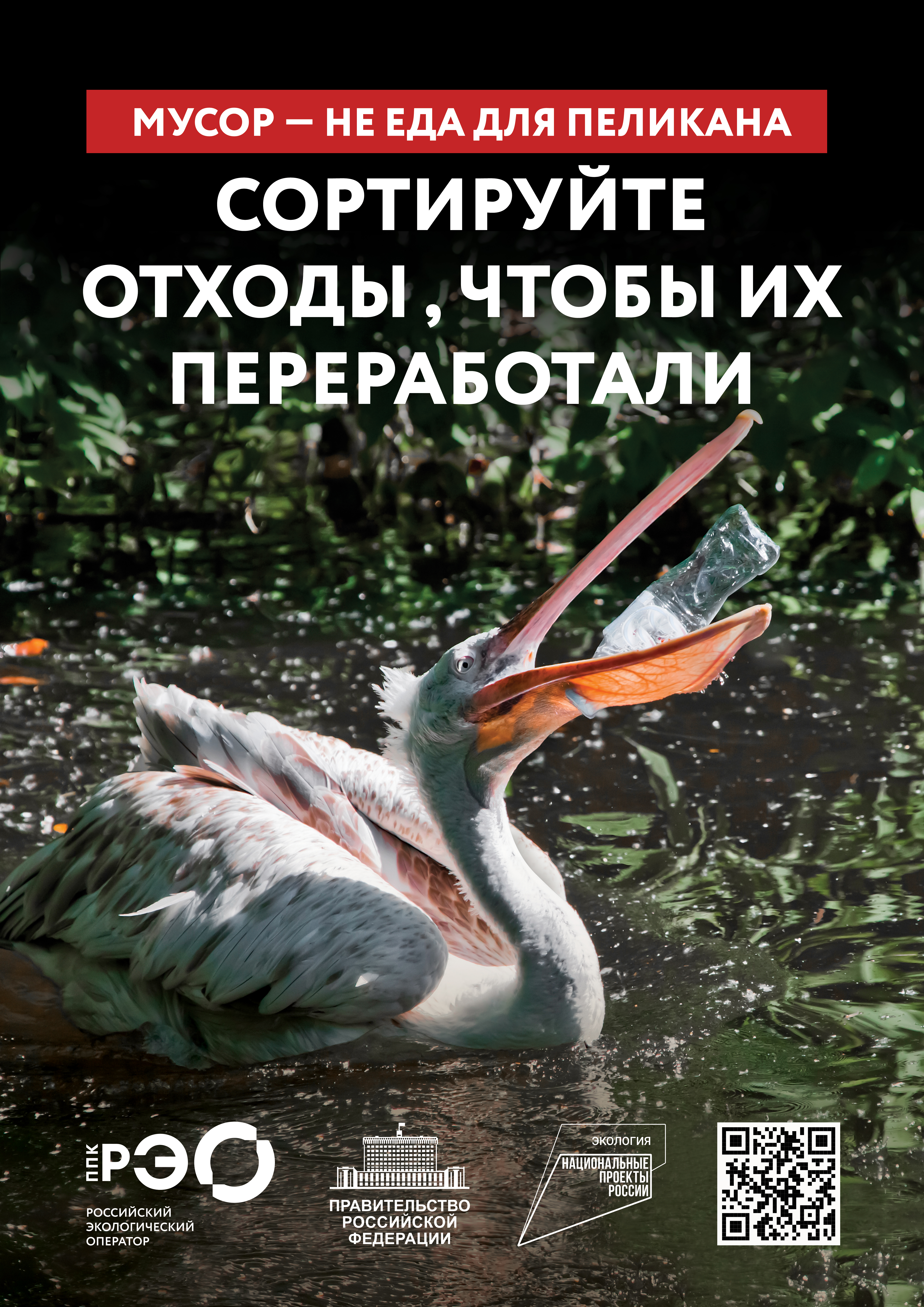 Медиабанк ППК «РЭО».